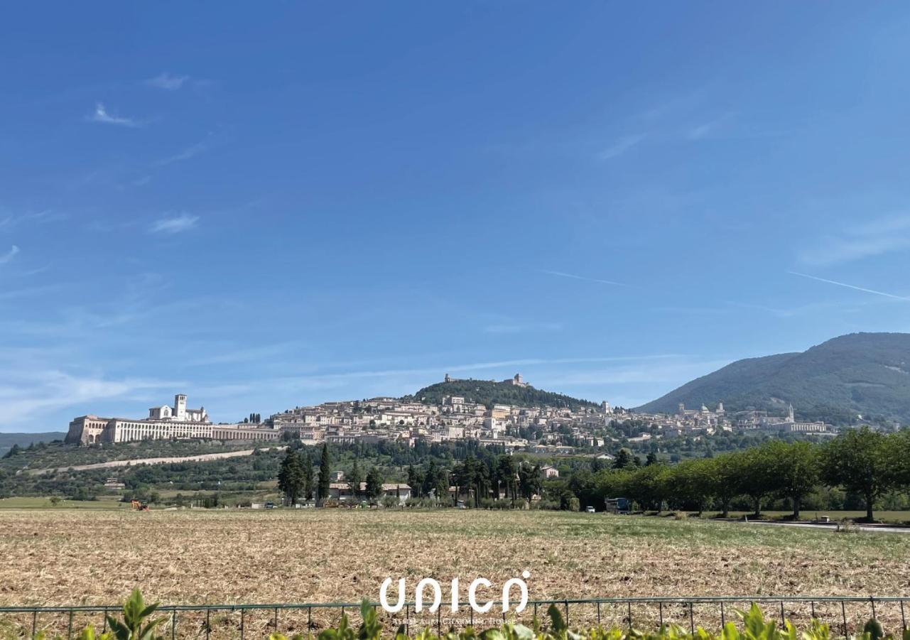 Unica Assisi Agri-Charming House Bed & Breakfast Exterior photo